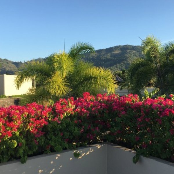 Property image - photo 5