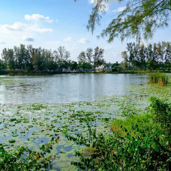 Property image - gallery 34