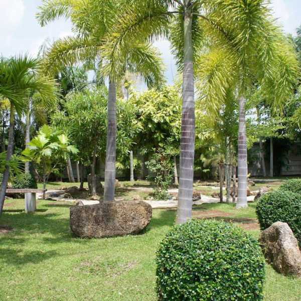 Property image - gallery 26