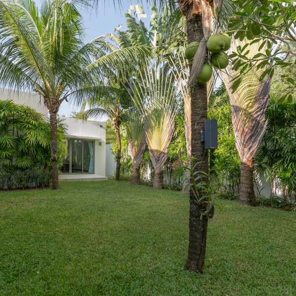 Property image - gallery 28