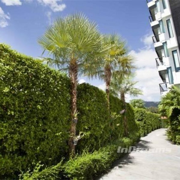 Property image - gallery 7