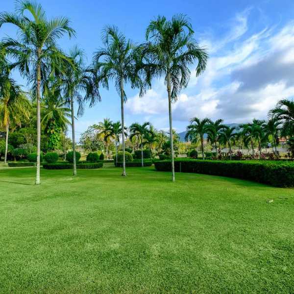 Property image - gallery 32