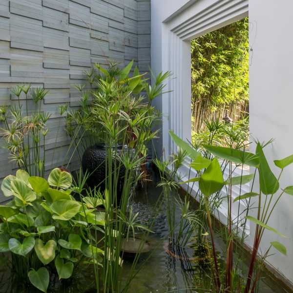 Property image - gallery 29