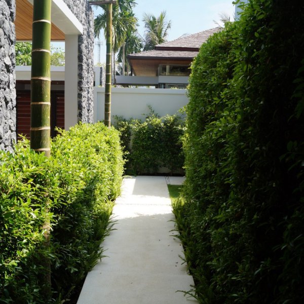 Property image - gallery 13