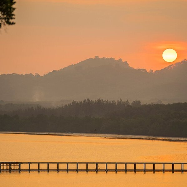 Property image - gallery 30