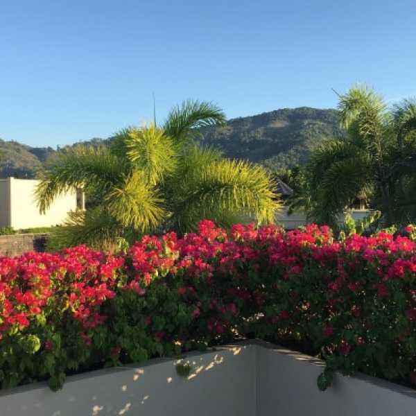 Property image - gallery 22