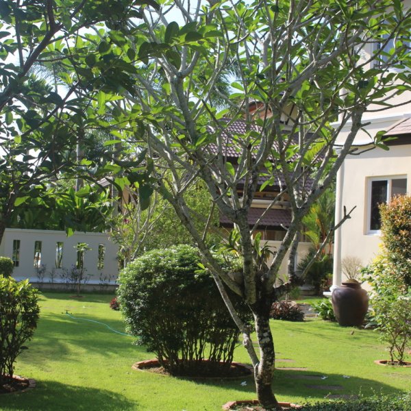 Property image - gallery 9