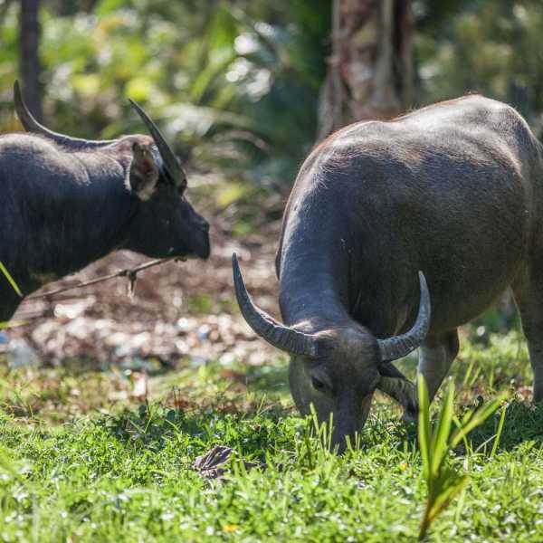 Property image - gallery 12