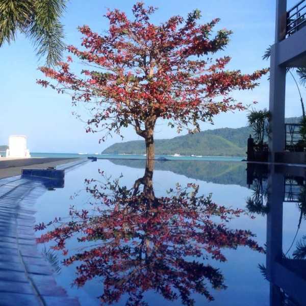 Property image - gallery 11