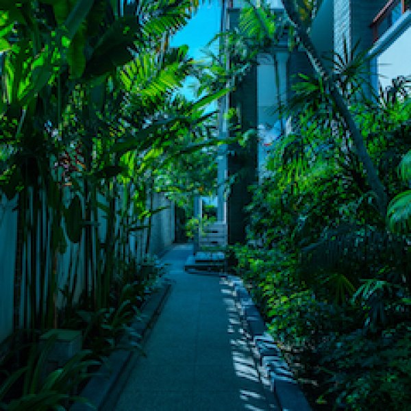 Property image - gallery 48