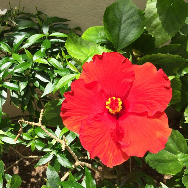 Property image - gallery 31