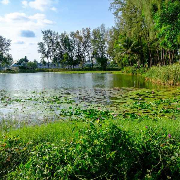 Property image - gallery 33