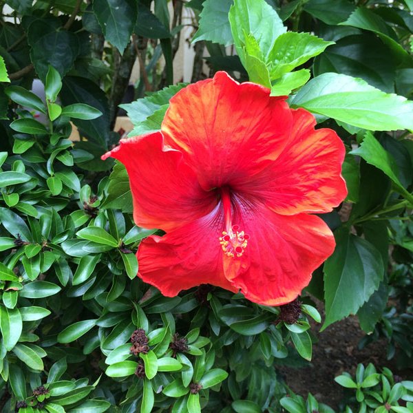 Property image - gallery 30