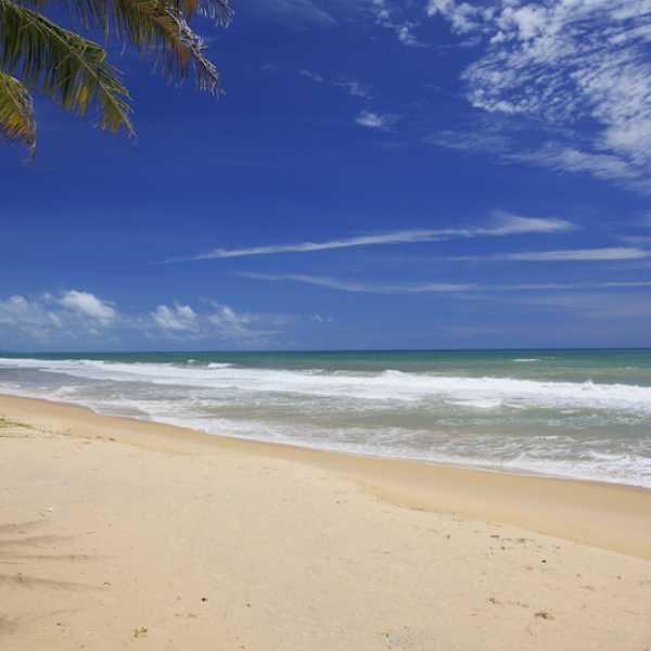 Property image - gallery 11