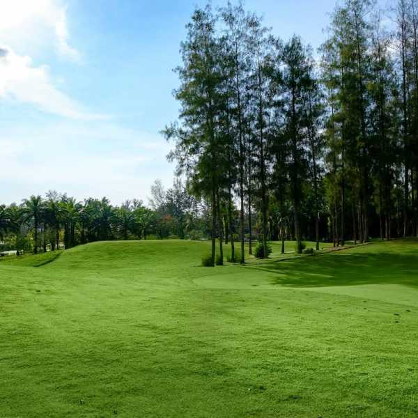 Property image - gallery 39