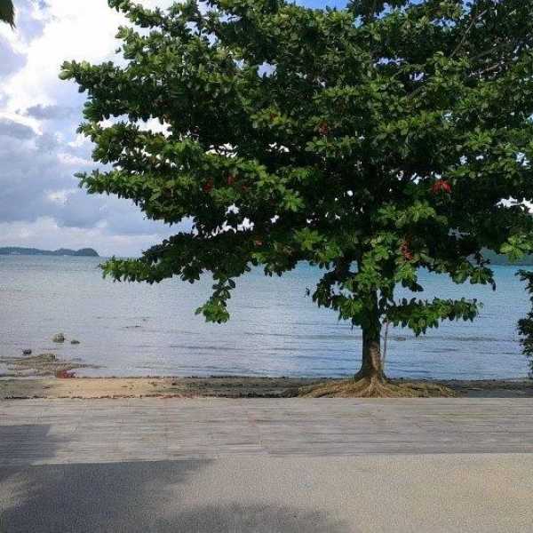 Property image - gallery 16