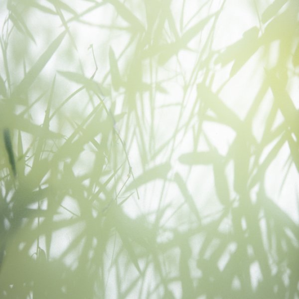 Property image - gallery 42