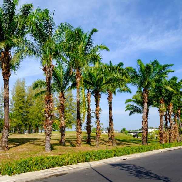 Property image - gallery 30