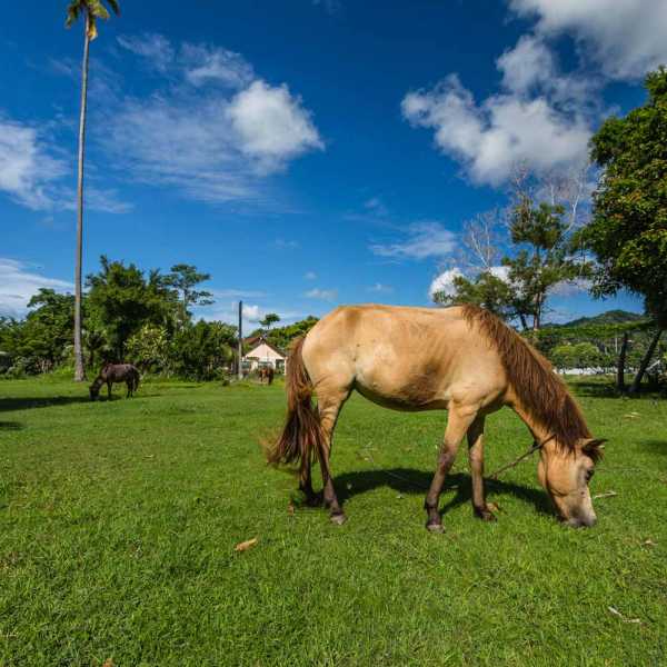 Property image - gallery 16