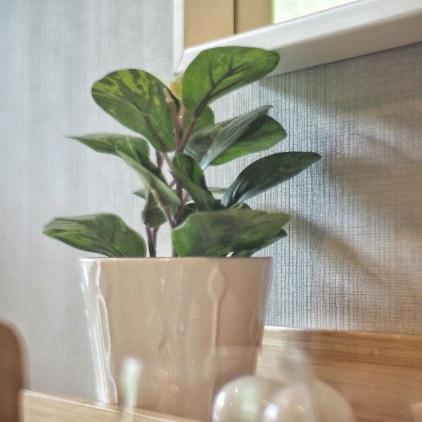 Property image - gallery 10