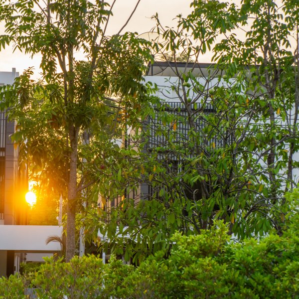 Property image - gallery 33