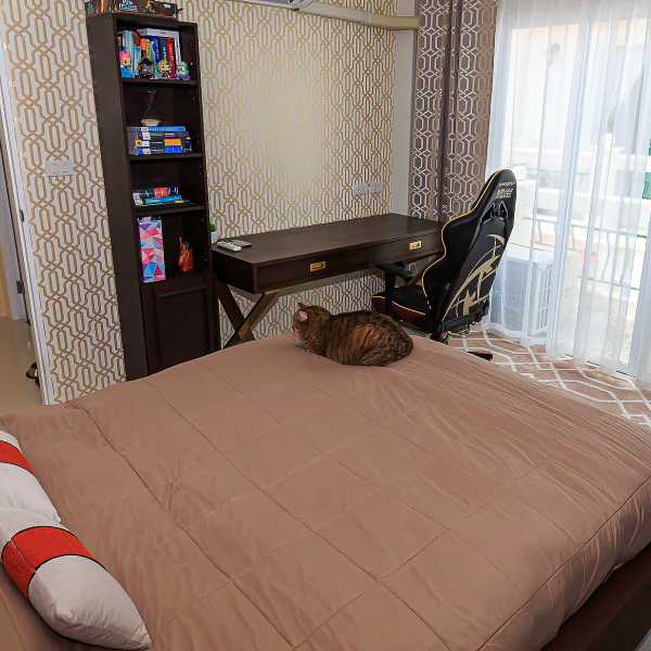 Property image - gallery 29