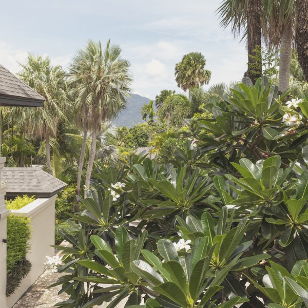 Property image - gallery 16