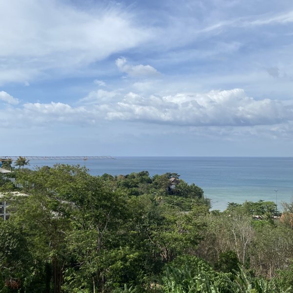 Property image - photo 2