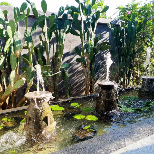 Property image - gallery 27