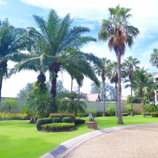 Property image - gallery 9