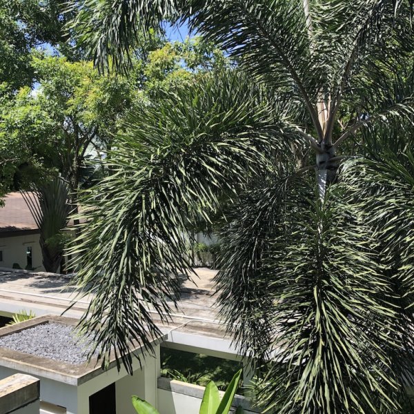 Property image - gallery 61