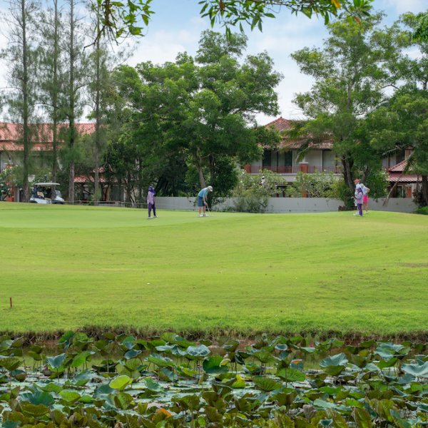 Property image - gallery 27