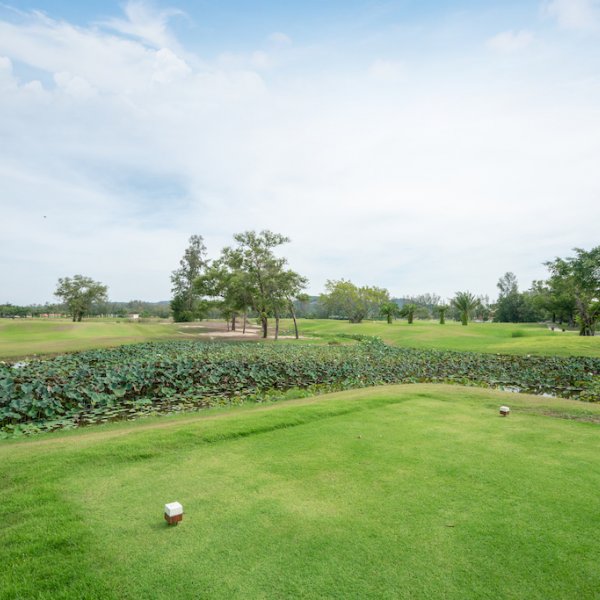 Property image - gallery 29