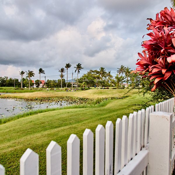 Property image - gallery 95