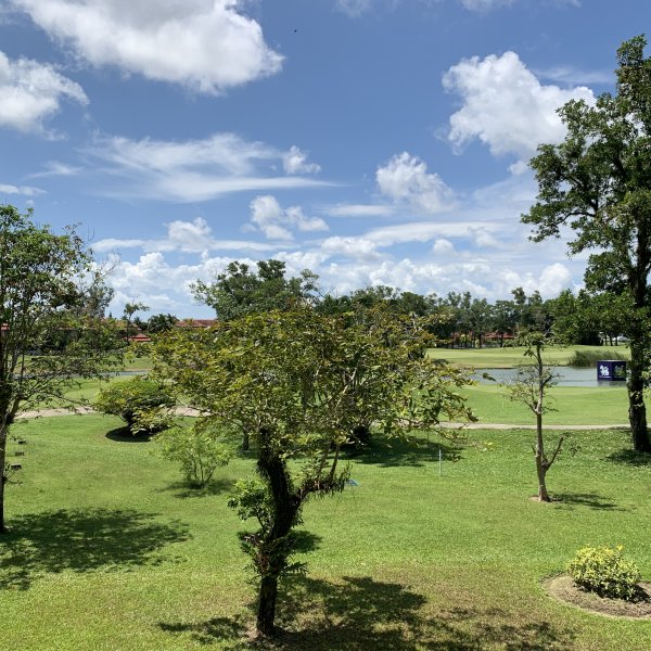 Property image - gallery 15