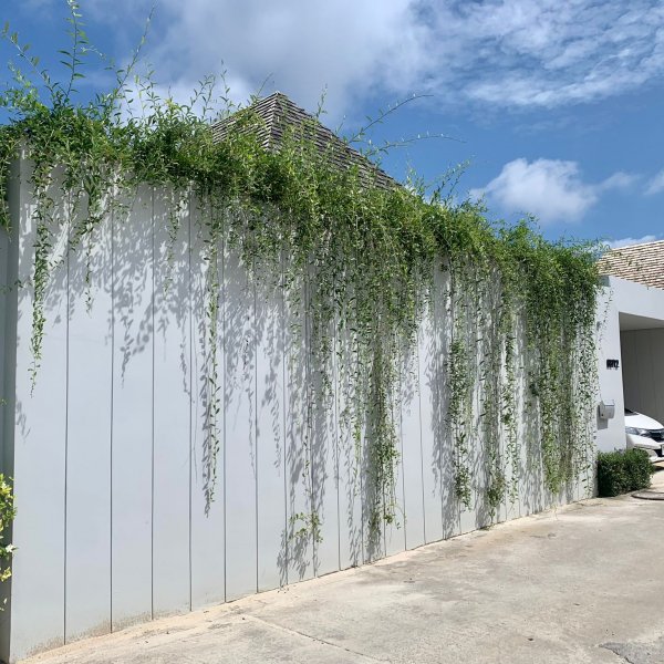 Property image - gallery 29