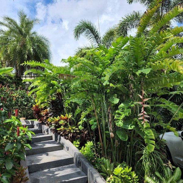 Property image - gallery 44