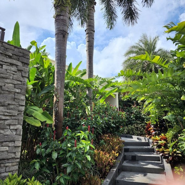 Property image - gallery 46