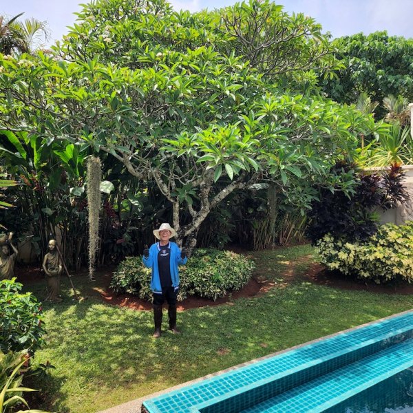 Property image - gallery 40