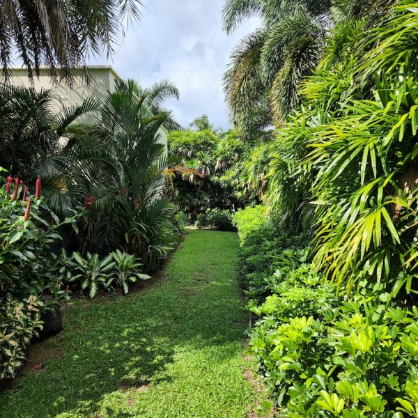 Property image - gallery 49