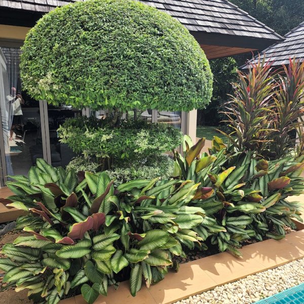 Property image - gallery 43