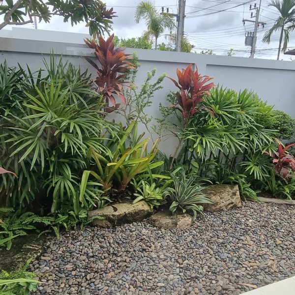 Property image - gallery 15