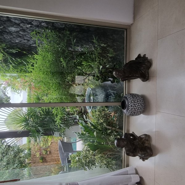 Property image - gallery 24