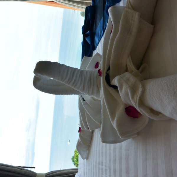 Property image - gallery 61