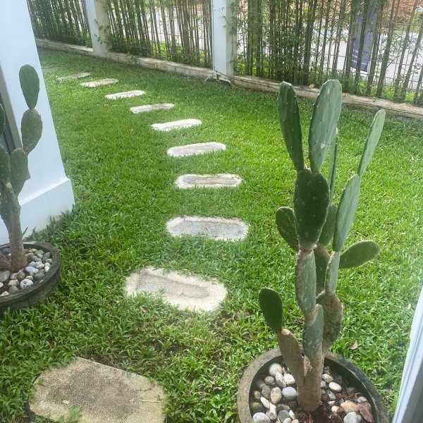 Property image - gallery 9