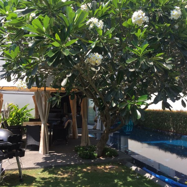 Property image - gallery 11