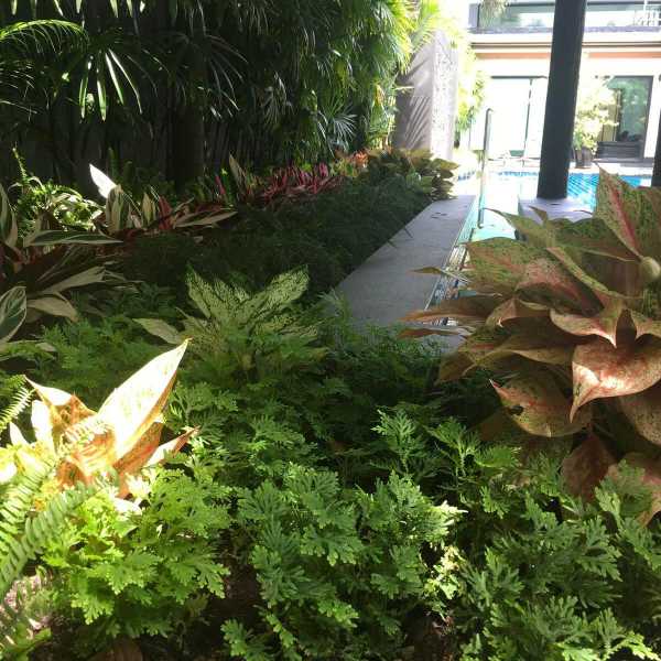 Property image - gallery 28