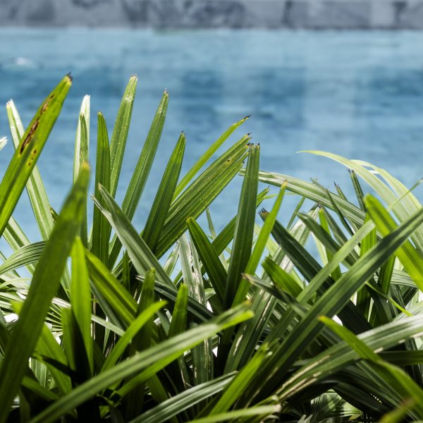 Property image - gallery 8