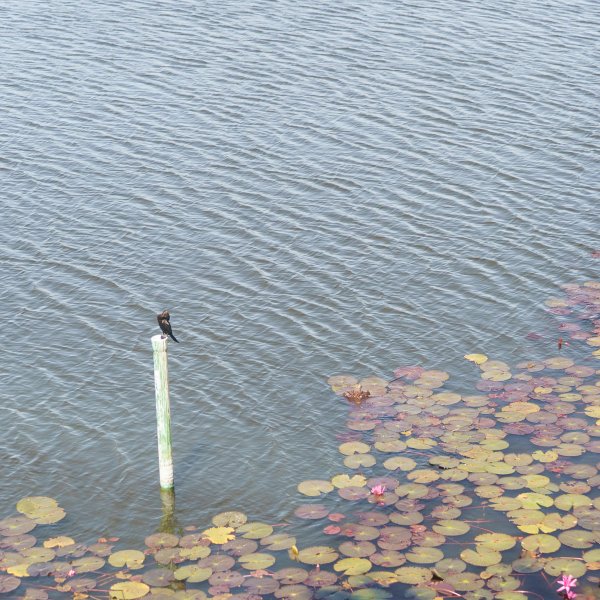 Property image - gallery 40