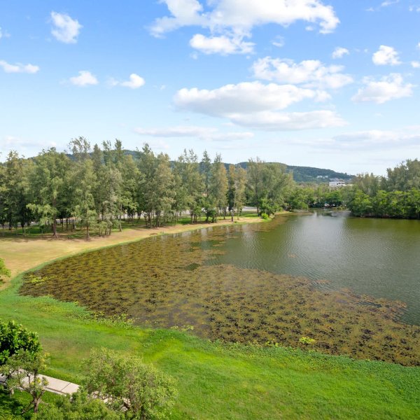 Property image - gallery 26